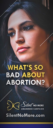 Picture of Silent No More- What's So Bad About Abortion - Digital Version