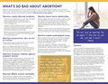 Picture of Silent No More- What's So Bad About Abortion - Digital Version