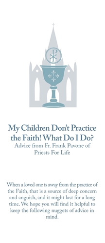 Picture of My Children Don't Practice the Faith brochure - Digital Version