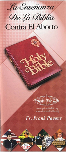 La Ensenanza De La Biblia Contra El Aborto