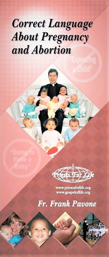 Picture of Correct Language About Pregnancy and Abortion- Digital Version