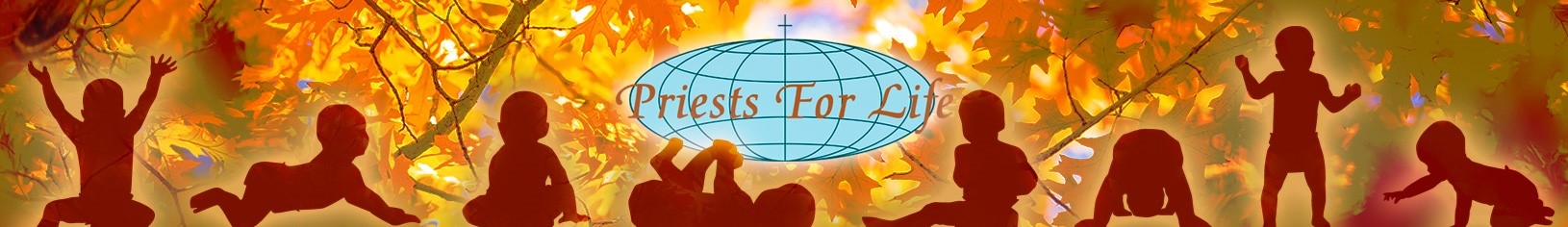 Priests for Life Online Store: Web
