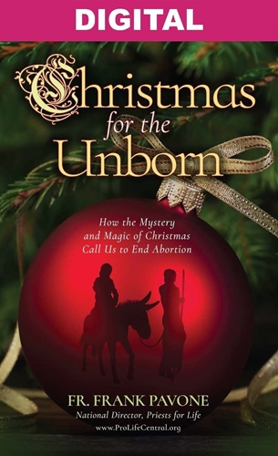 Picture of Christmas for the Unborn - Digital Version