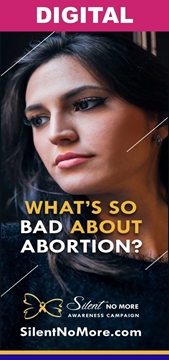 Picture of SNM- What's So Bad About Abortion Digital Brochure